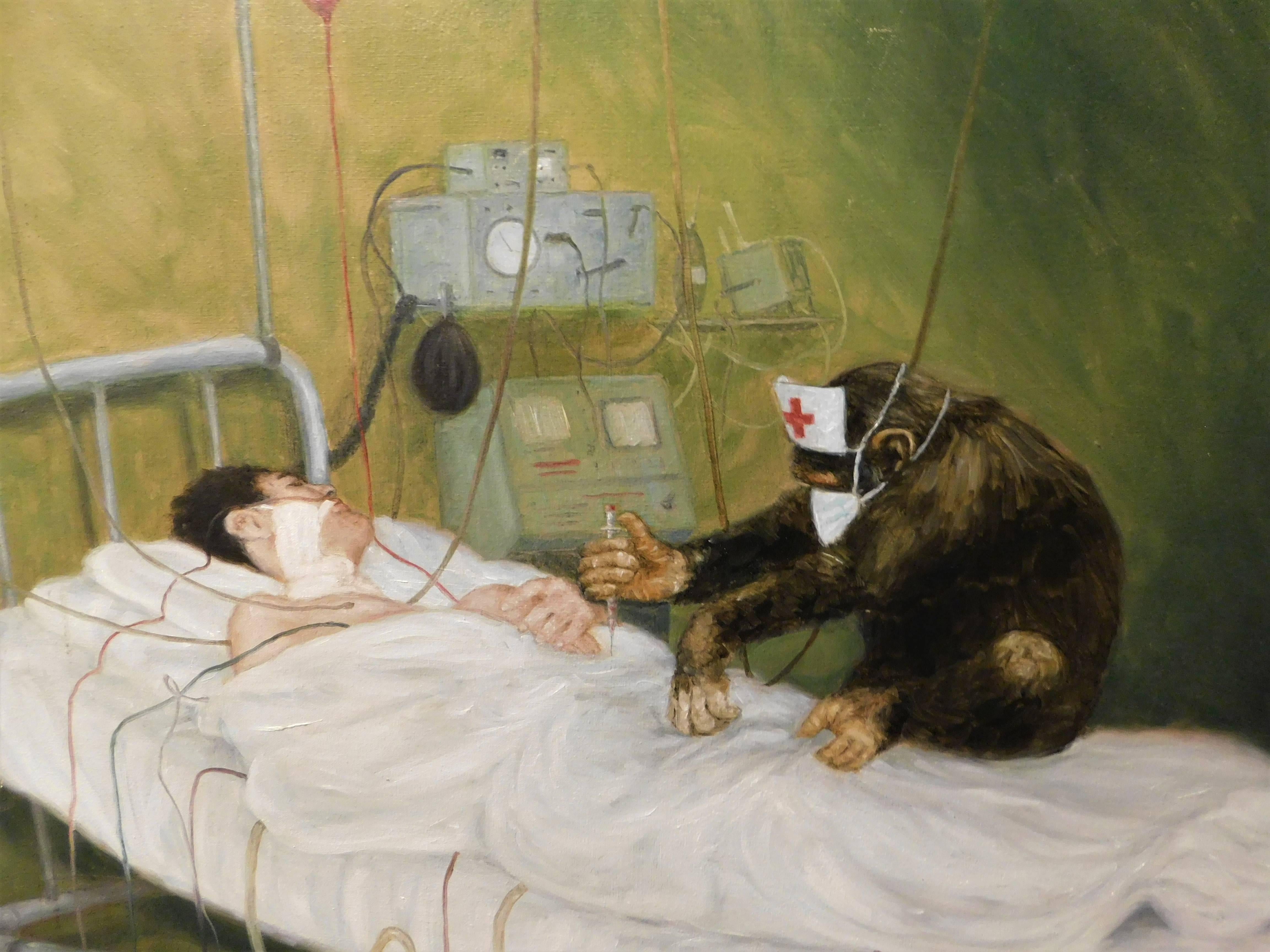 monkey in hospital bed