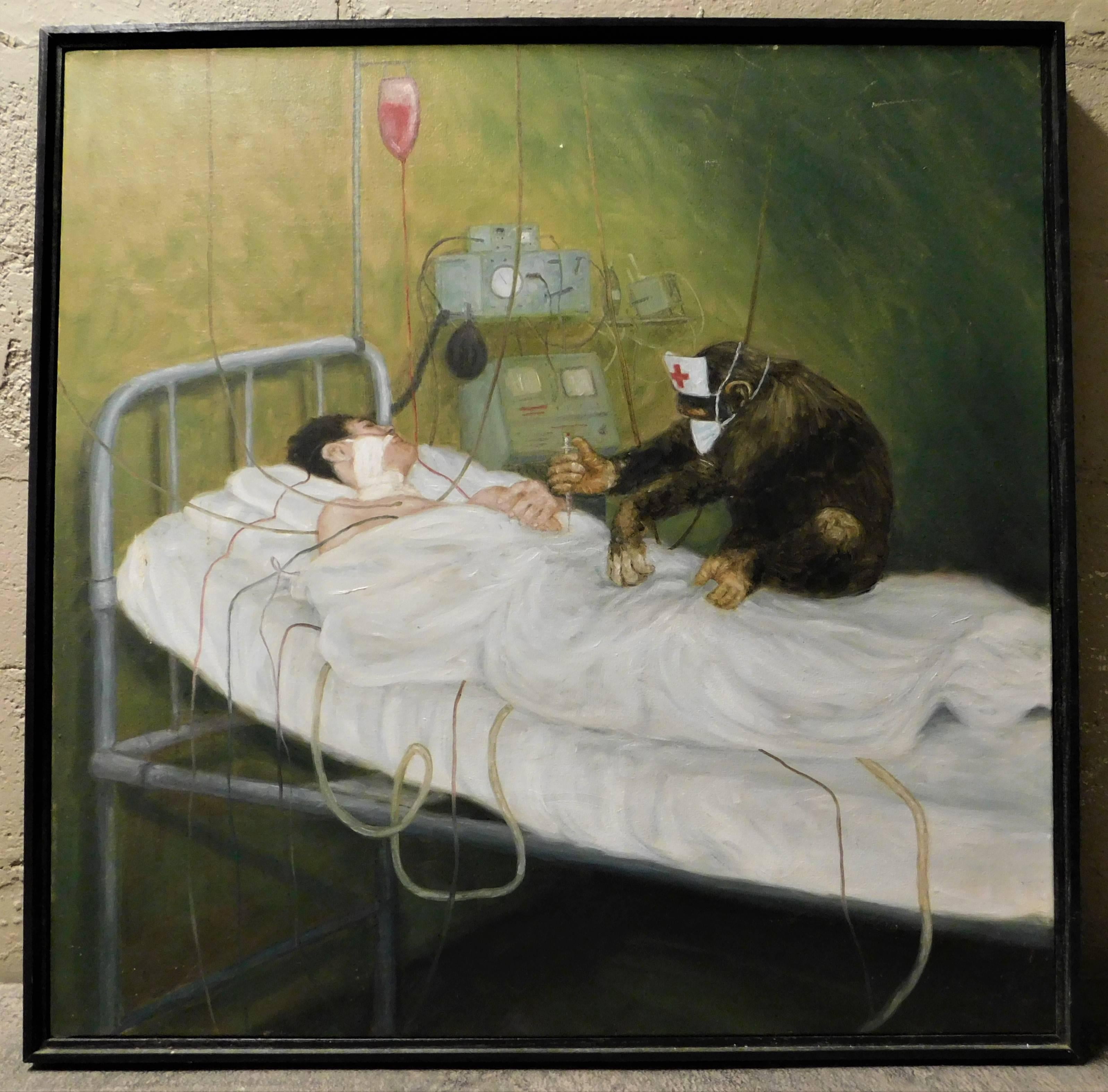 monkey on hospital bed