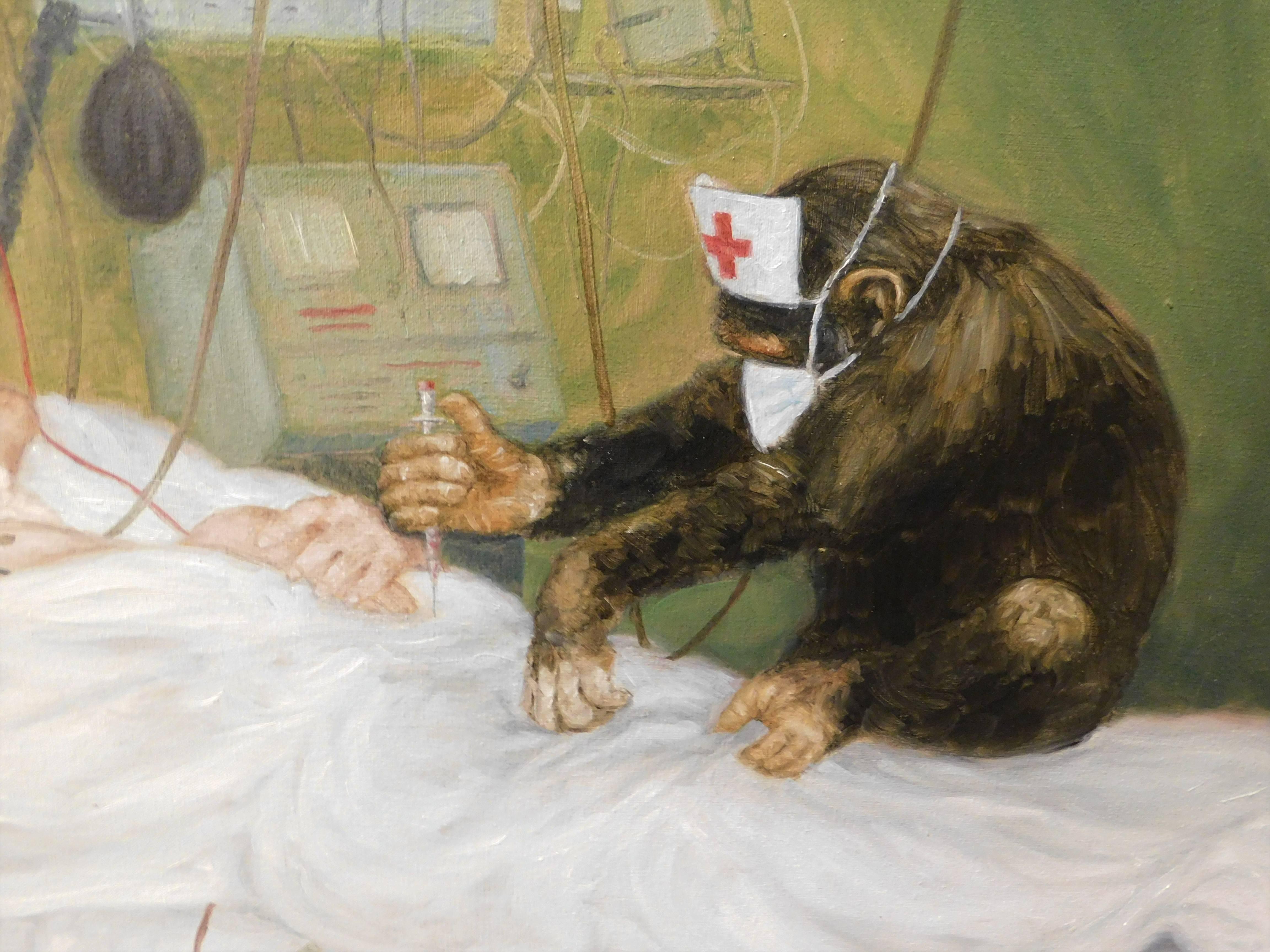 monkey in a hospital bed