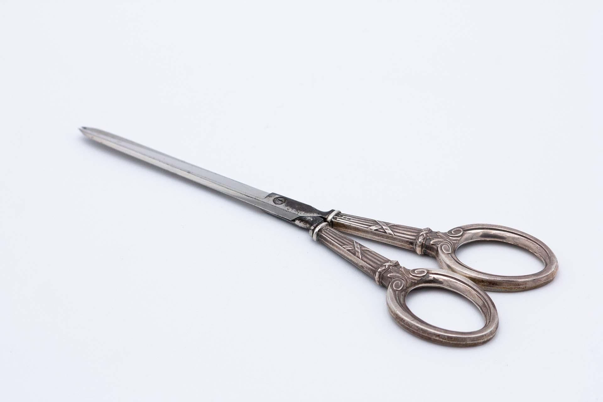 Scissors with embossed silver handles