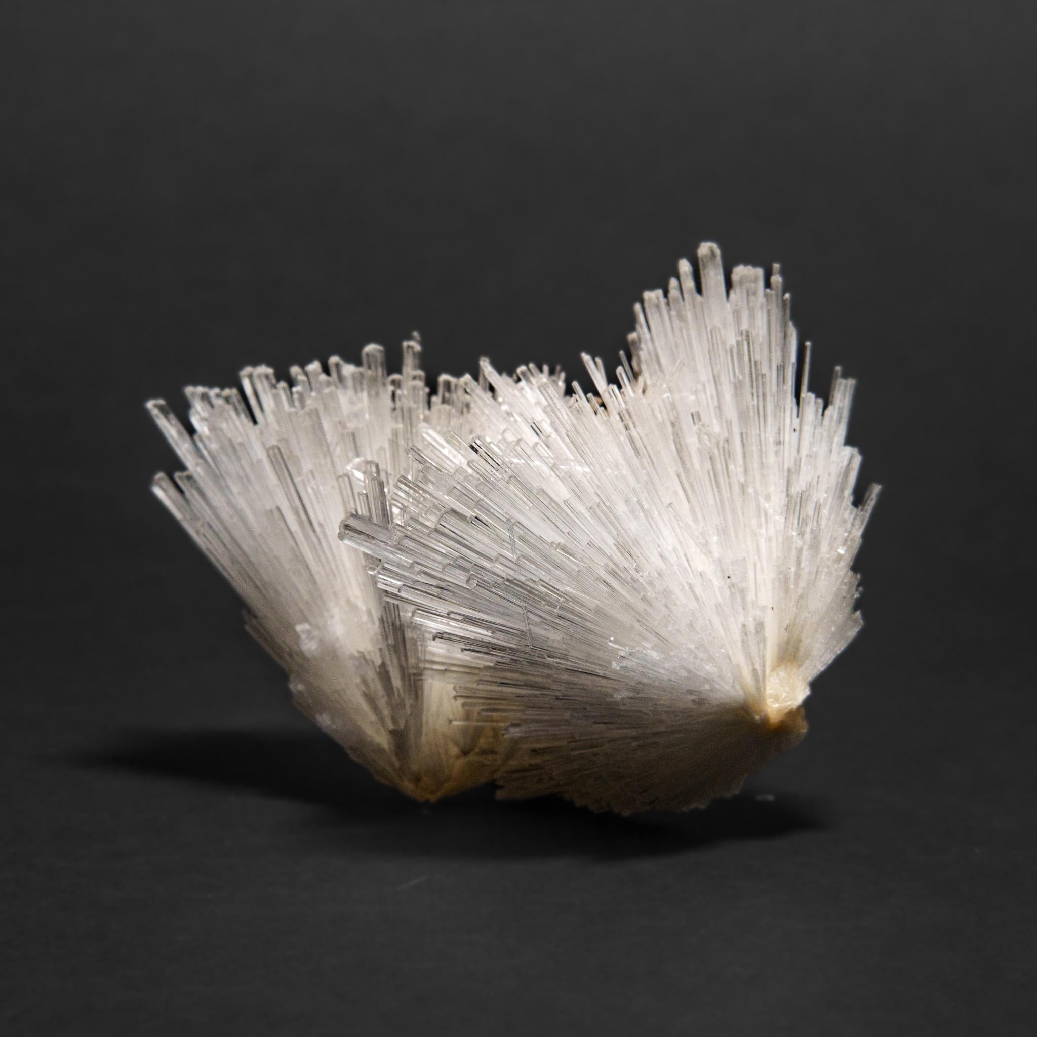 Scolecite dal distretto di Nasik, Maharashtra, India (225,8 grammi) In condizioni Nuovo in vendita a New York, NY