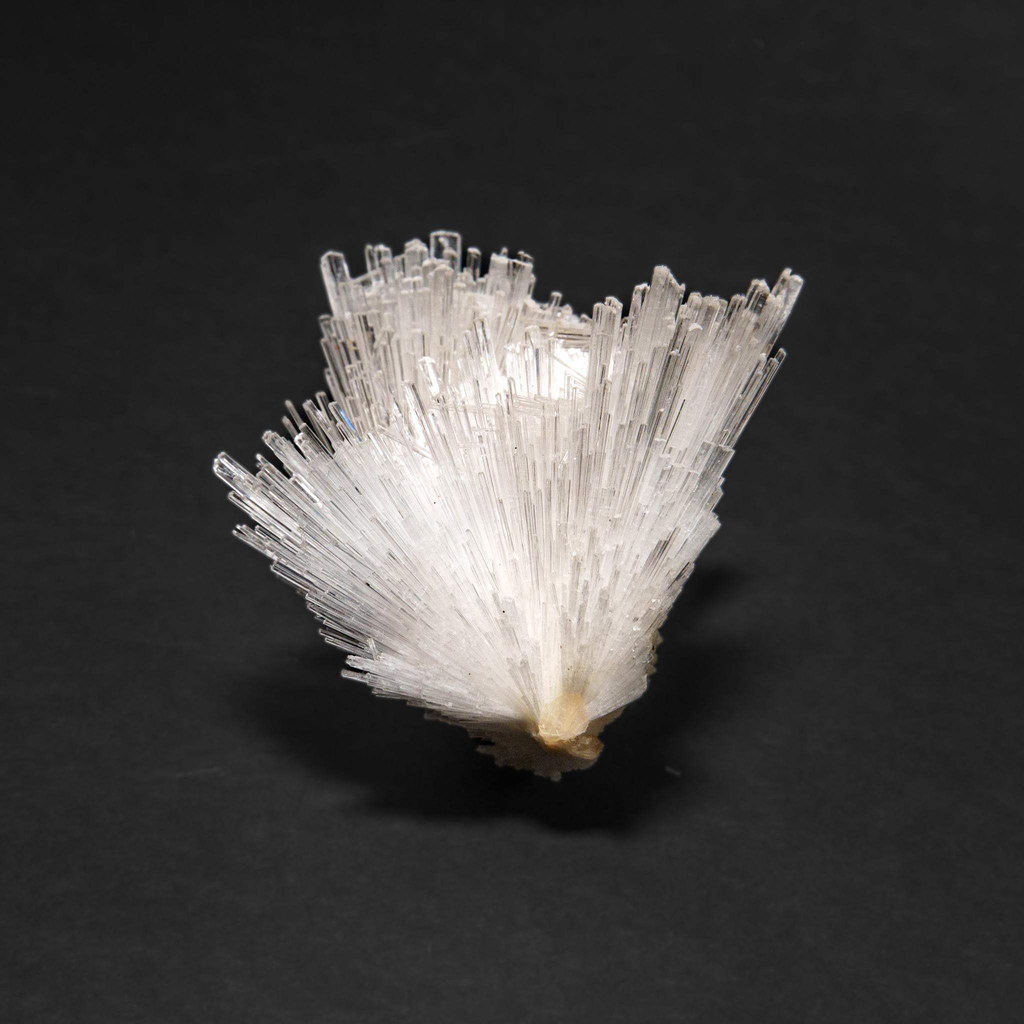 Altro Scolecite dal distretto di Nasik, Maharashtra, India (225,8 grammi) in vendita