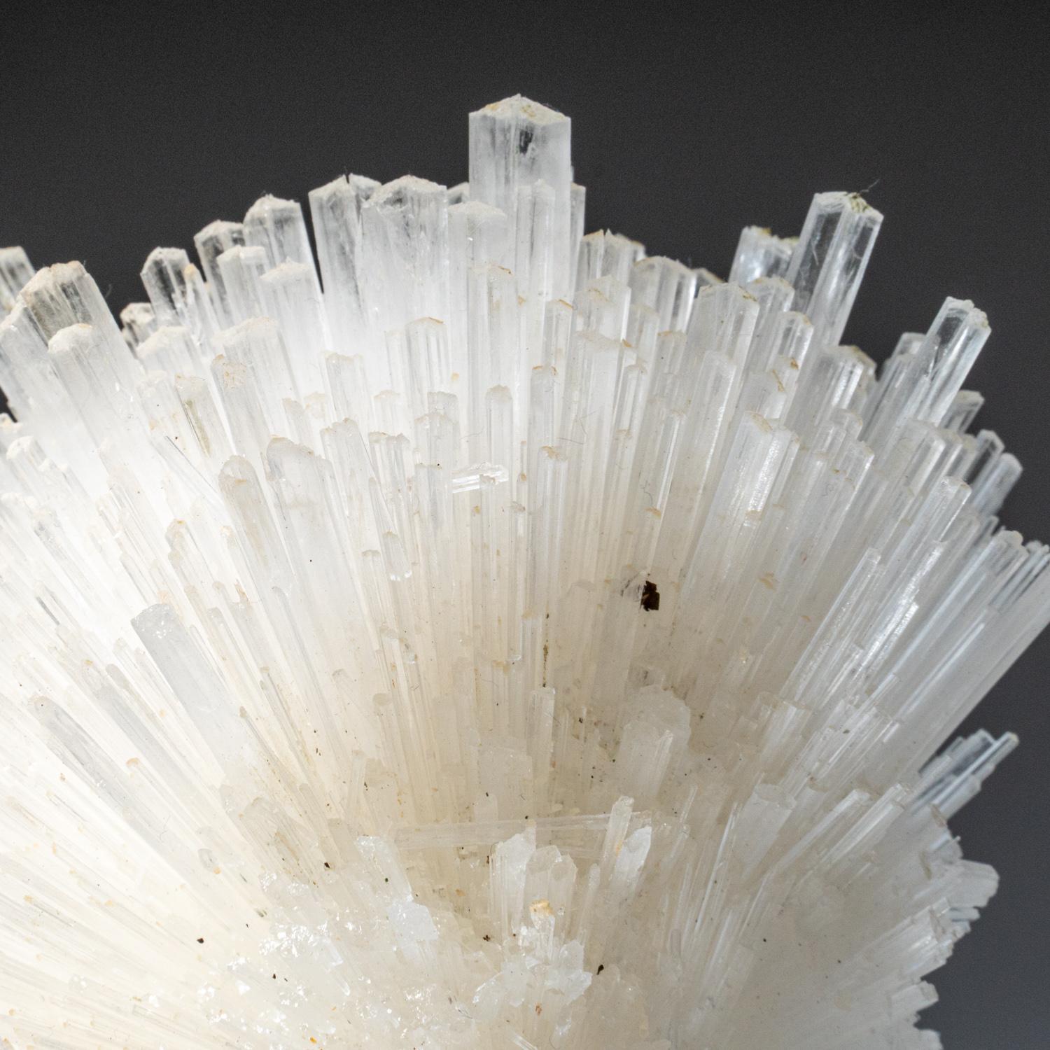 From Nasik District, Maharashtra, India Lustrous transparent-to-translucent colorless elongated scolecite crystals in a spray-shaped formation. The scolecite crystals have glassy crystal faces and are mostly translucent to transparent at the
