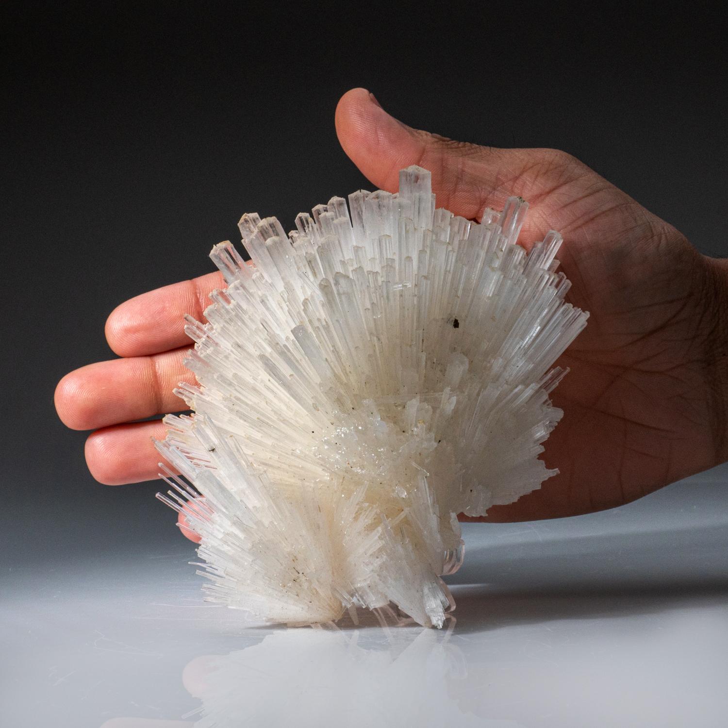 Contemporary Scolecite From Nasik District, Maharashtra, India (427.8 grams) For Sale