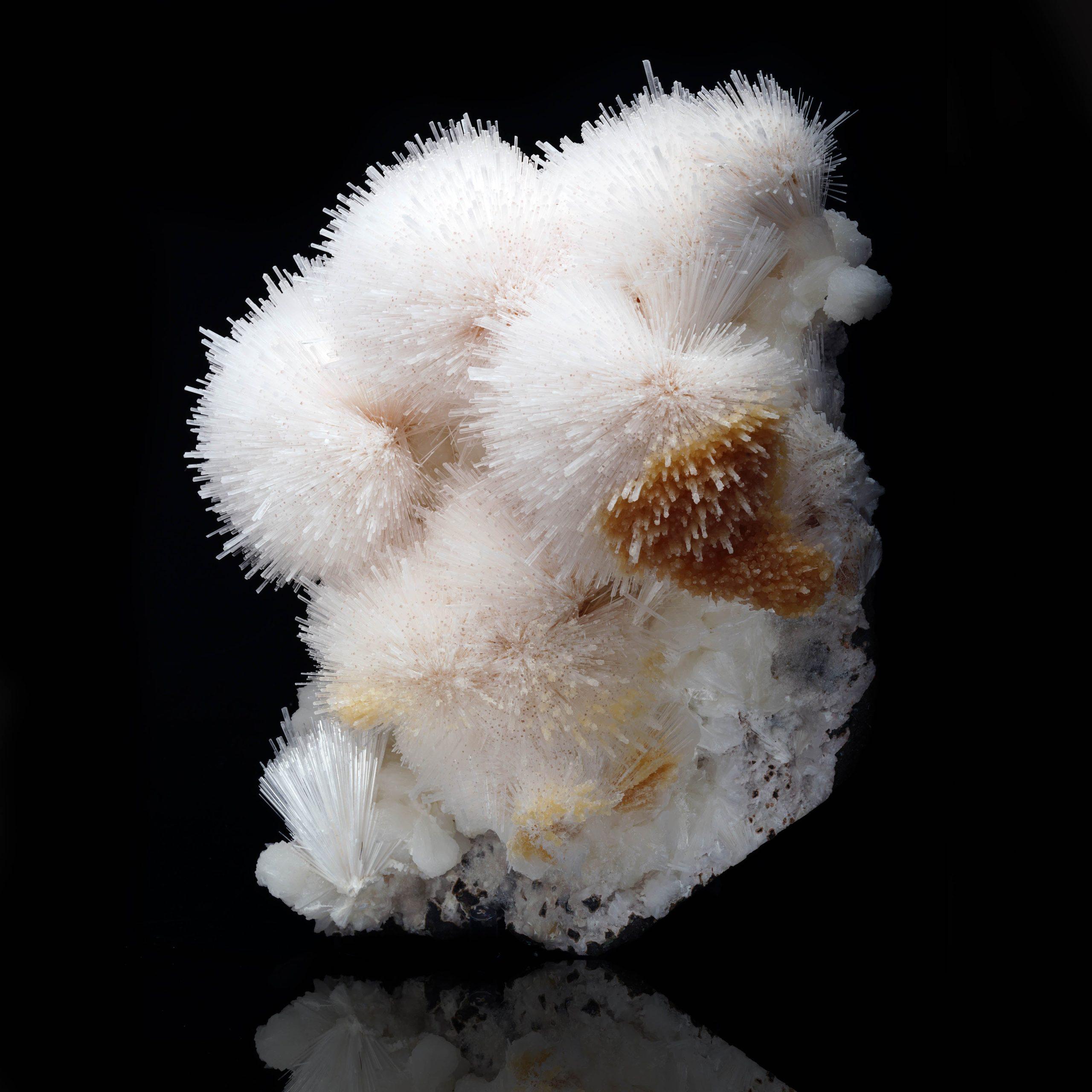 Questo esemplare di qualità museale proveniente da Pune, in India, presenta molteplici e impressionanti spruzzi prismatici di scolecite, molti dei quali a 360 gradi, su stilbite cerosa e chiara con accenni di colorazione pesca. Un reperto dinamico e