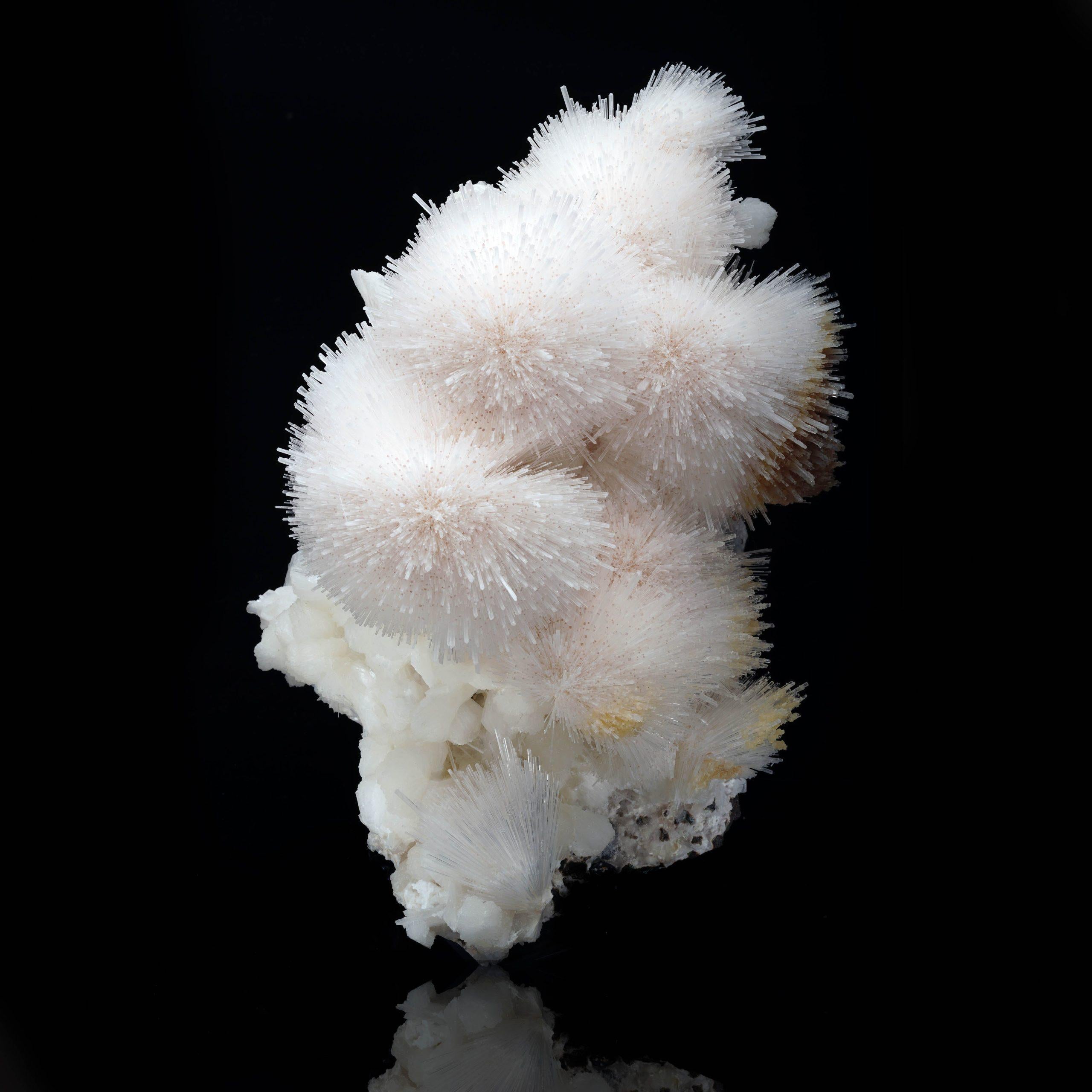 Indiano Scolecite su Stilbite // 10 Lb. in vendita