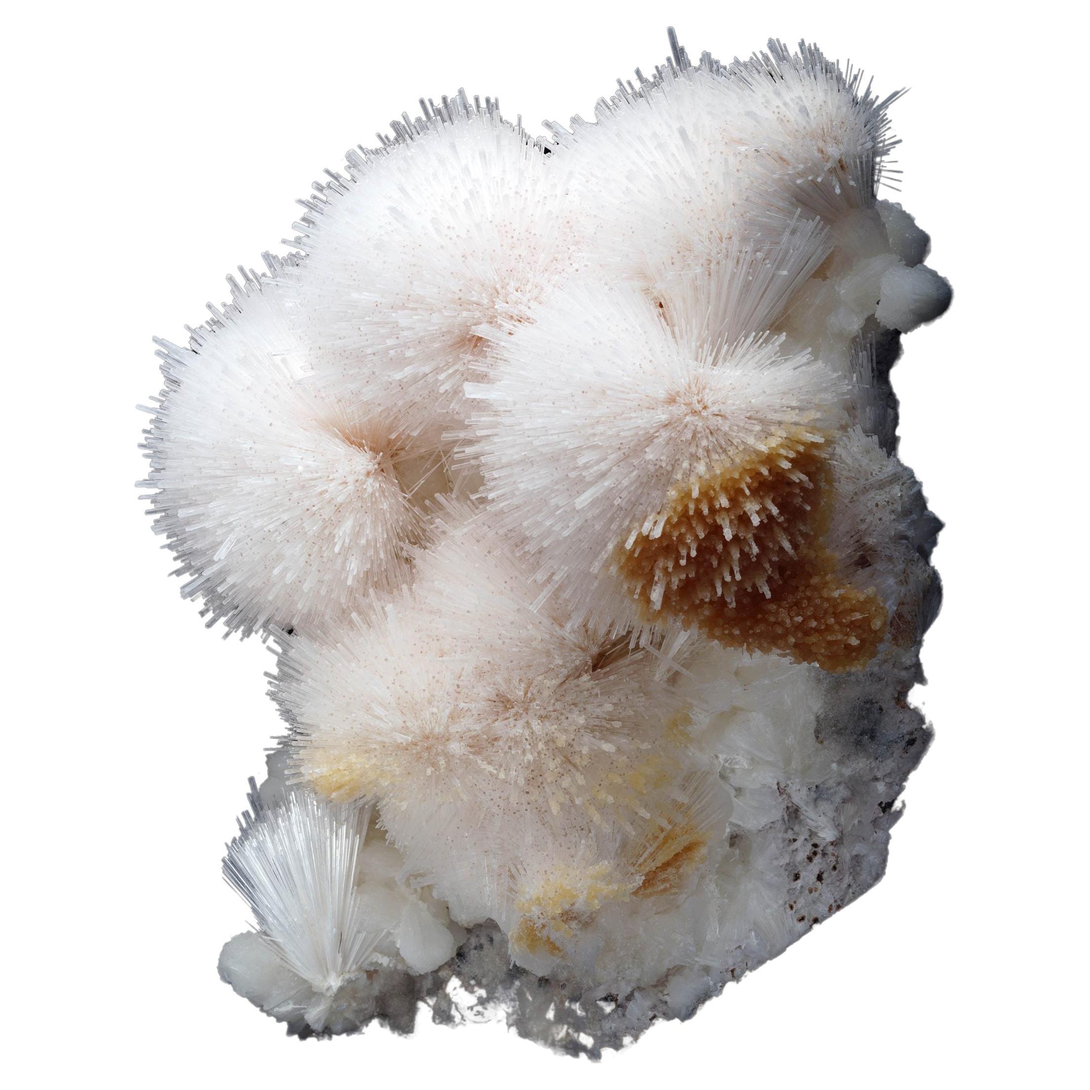 Scolecite on Stilbite // 10 Lb. For Sale