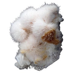 Scolecite auf Stilbite // 10 Lb.