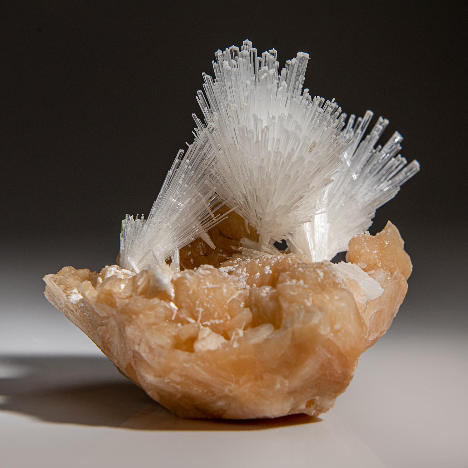 From Nasik District, Maharashtra, India Large lustrous cluster of an acicular sprays of scolectite crystals on pink stilbite. The scolecite crystals have glassy crystal faces and are mostly translucent to transparent at the terminations. This