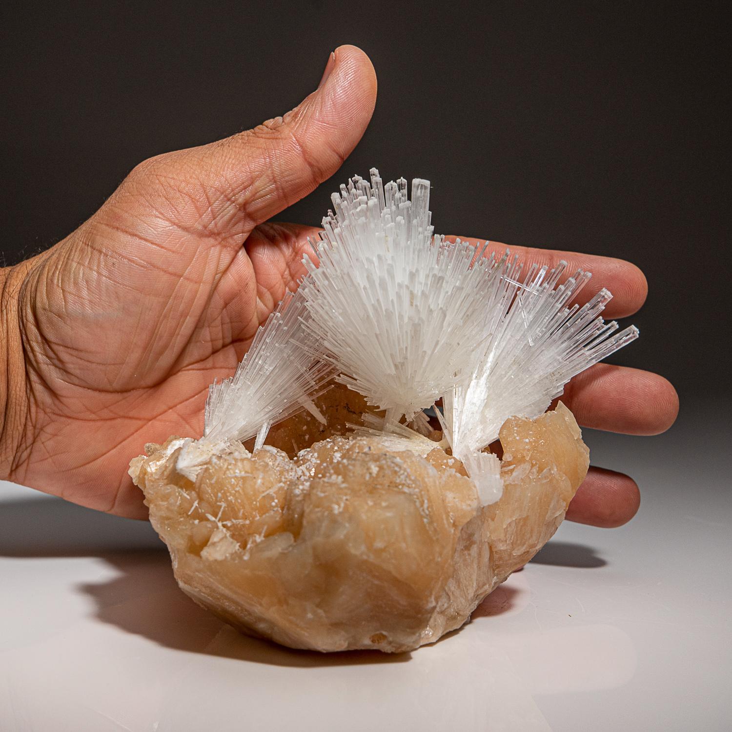 Scolecite on Stilbite From Nasik District, Maharashtra, India (1.3 lbs) In New Condition For Sale In New York, NY