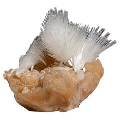 Scolecite su Stilbite dal distretto di Nasik, Maharashtra, India (1.3 lbs)