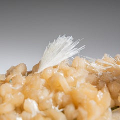 Scolecite auf Stilbite aus Nasik District, Maharashtra, Indien '164.4 Gramm'