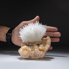 Scolecite sur pied en écaille du district de Nasik, Maharashtra, Inde (2.20 lbs)