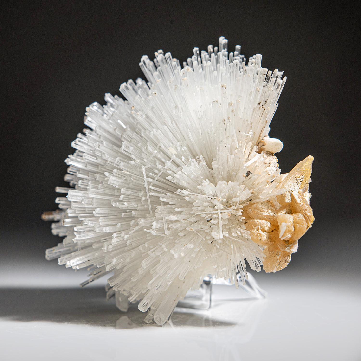 Scolecite on Stilbite From Nasik District, Maharashtra, India (249 grams) In Excellent Condition For Sale In New York, NY