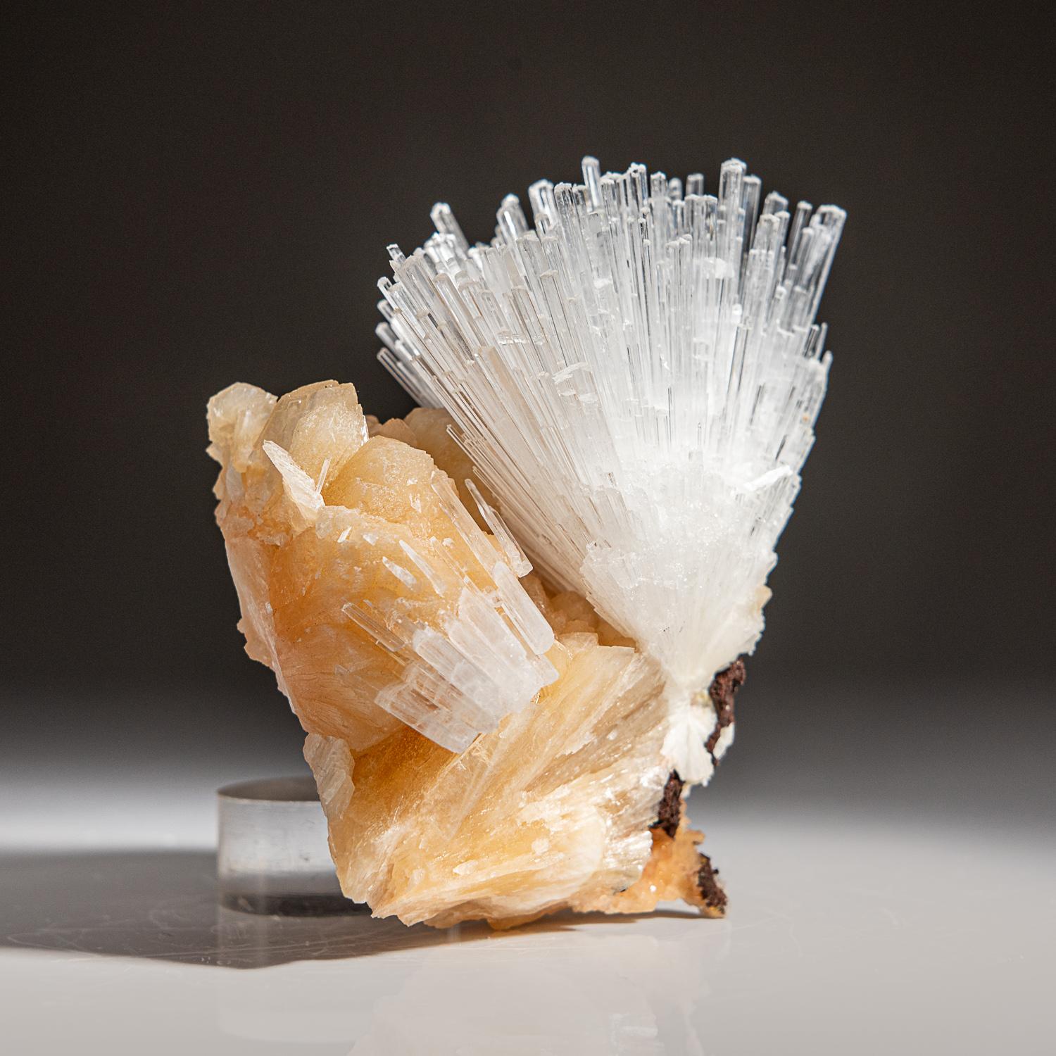 Del distrito de Nasik, Maharashtra, India Gran racimo lustroso de un racimo acicular de cristales de escolectita sobre estilbita rosa. Los cristales de escolecita tienen caras cristalinas vítreas y son en su mayoría translúcidos a transparentes en