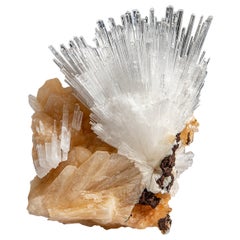 Scolecite sur cravate du district de Nasik, Maharashtra, Inde (269.4 grammes)