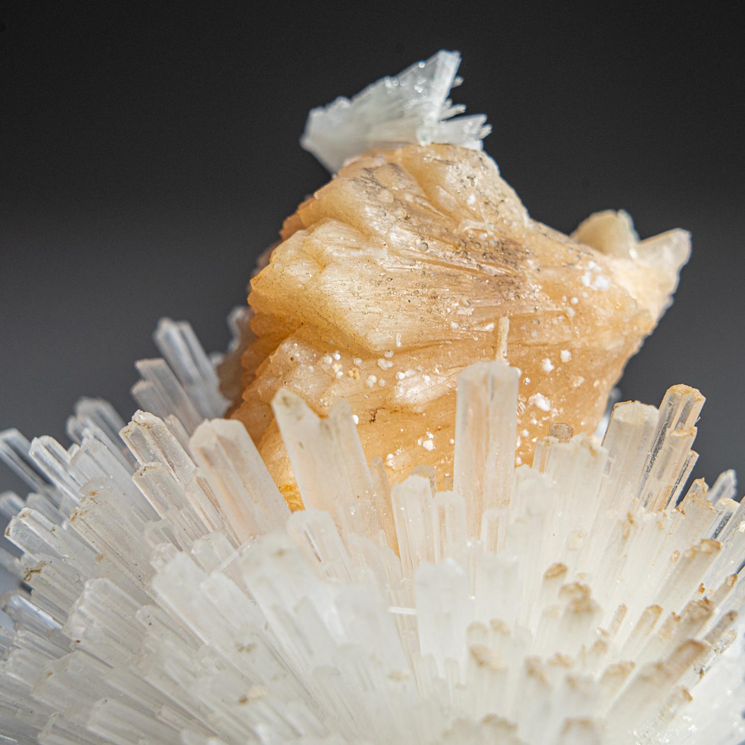 From Nasik District, Maharashtra, India Large lustrous cluster of an acicular sprays of scolectite crystals on pink stilbite. The scolecite crystals have glassy crystal faces and are mostly translucent to transparent at the terminations. This rare