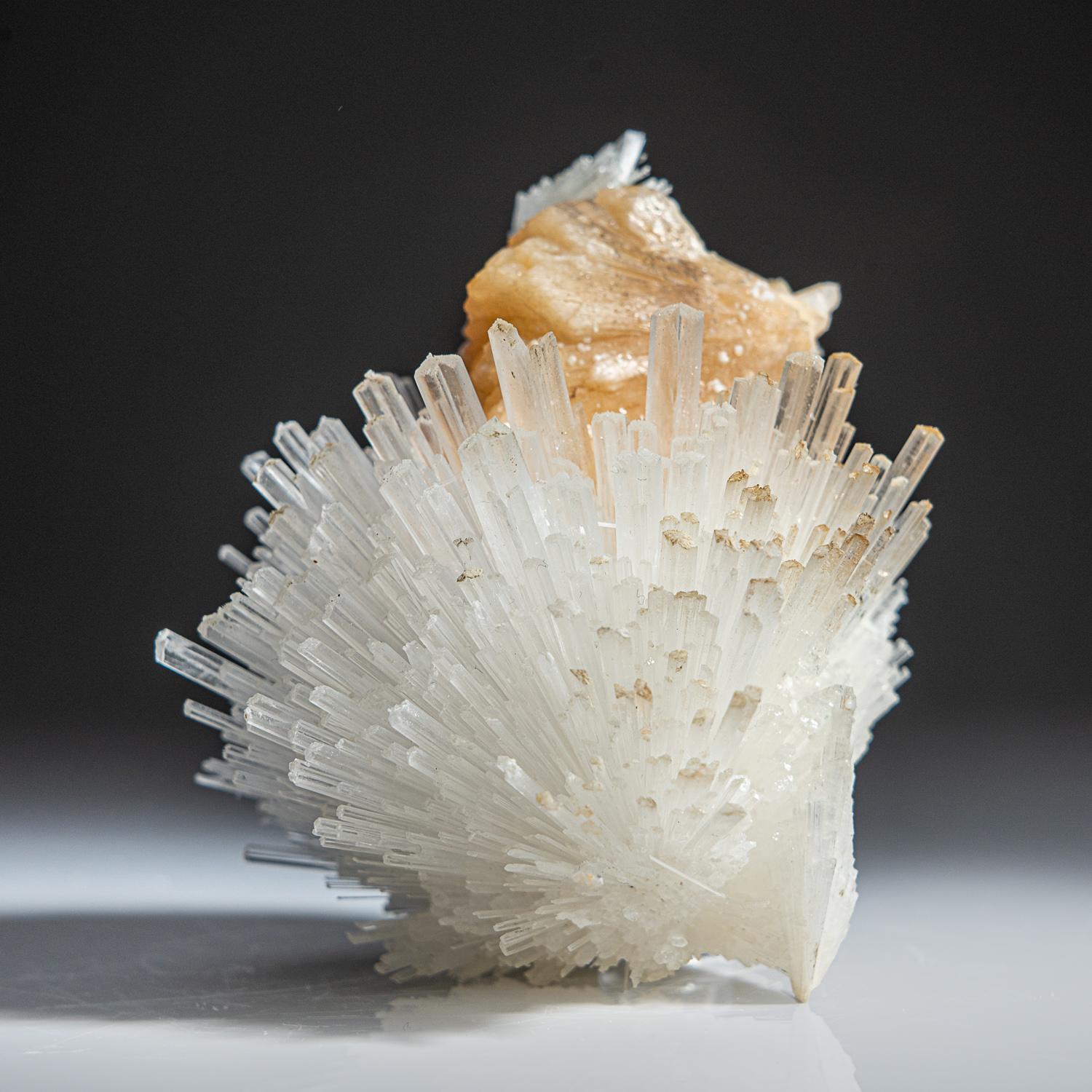 Scolecite on Stilbite From Nasik District, Maharashtra, India (284.1 grams) In New Condition For Sale In New York, NY