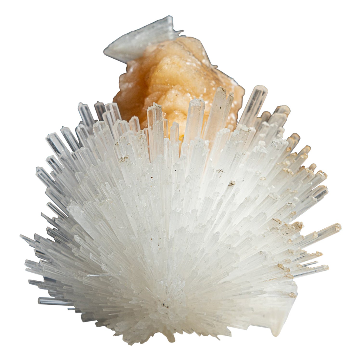 Scolecite su Stilbite dal distretto di Nasik, Maharashtra, India (284.1 grammi)