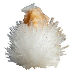 Scolecite sur cravate du district de Nasik, Maharashtra, Inde (284.1 grammes)