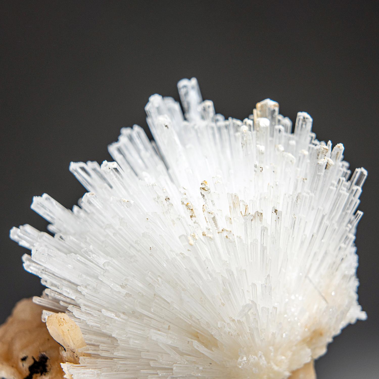 From Nasik District, Maharashtra, India Large lustrous cluster of an acicular sprays of scolectite crystals on pink stilbite. The scolecite crystals have glassy crystal faces and are mostly translucent to transparent at the terminations. Each