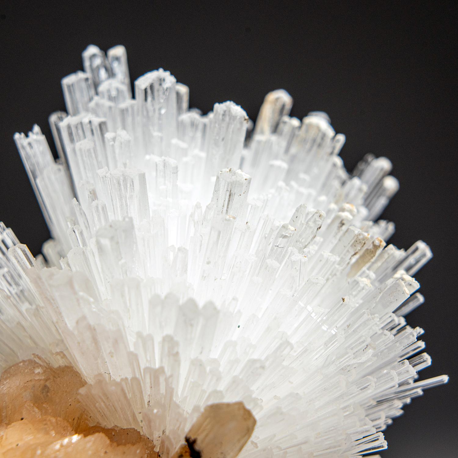 Indian Scolecite on Stilbite From Nasik District, Maharashtra, India (314.4 grams) For Sale