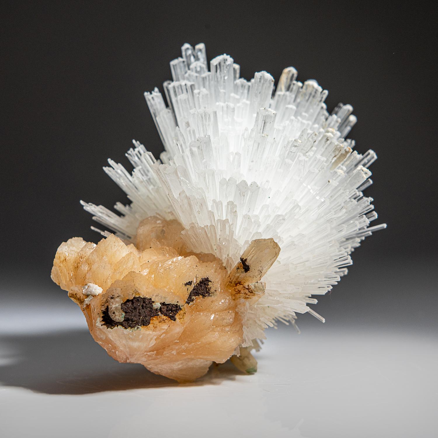 Scolecite on Stilbite From Nasik District, Maharashtra, India (314.4 grams) In New Condition For Sale In New York, NY