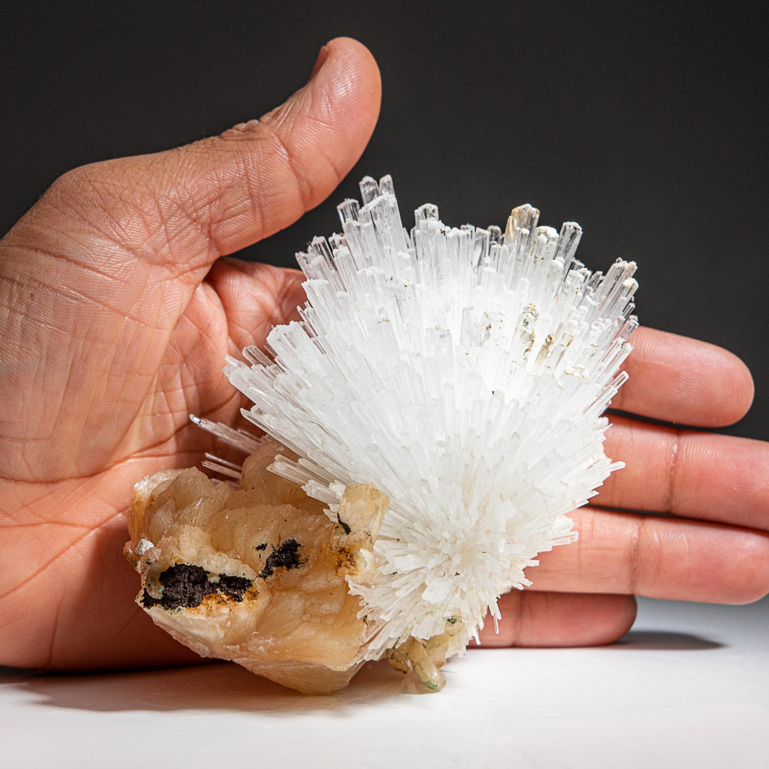 Contemporary Scolecite on Stilbite From Nasik District, Maharashtra, India (314.4 grams) For Sale