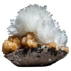 Scolecite su Stilbite dal distretto di Nasik, Maharashtra, India