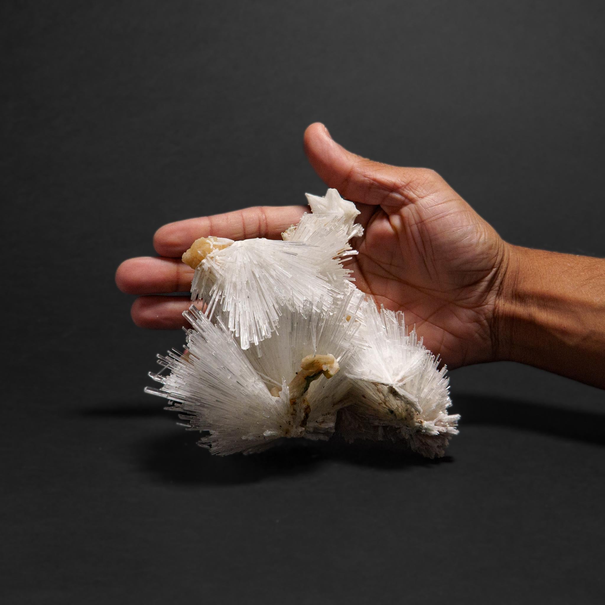 Indien Scolecite avec piqûre de cravate du district de Nasik, Maharashtra, Inde (1.2 kg) en vente