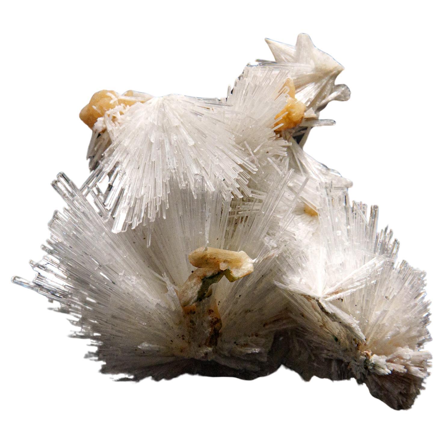 Scolecite avec piqûre de cravate du district de Nasik, Maharashtra, Inde (1.2 kg)