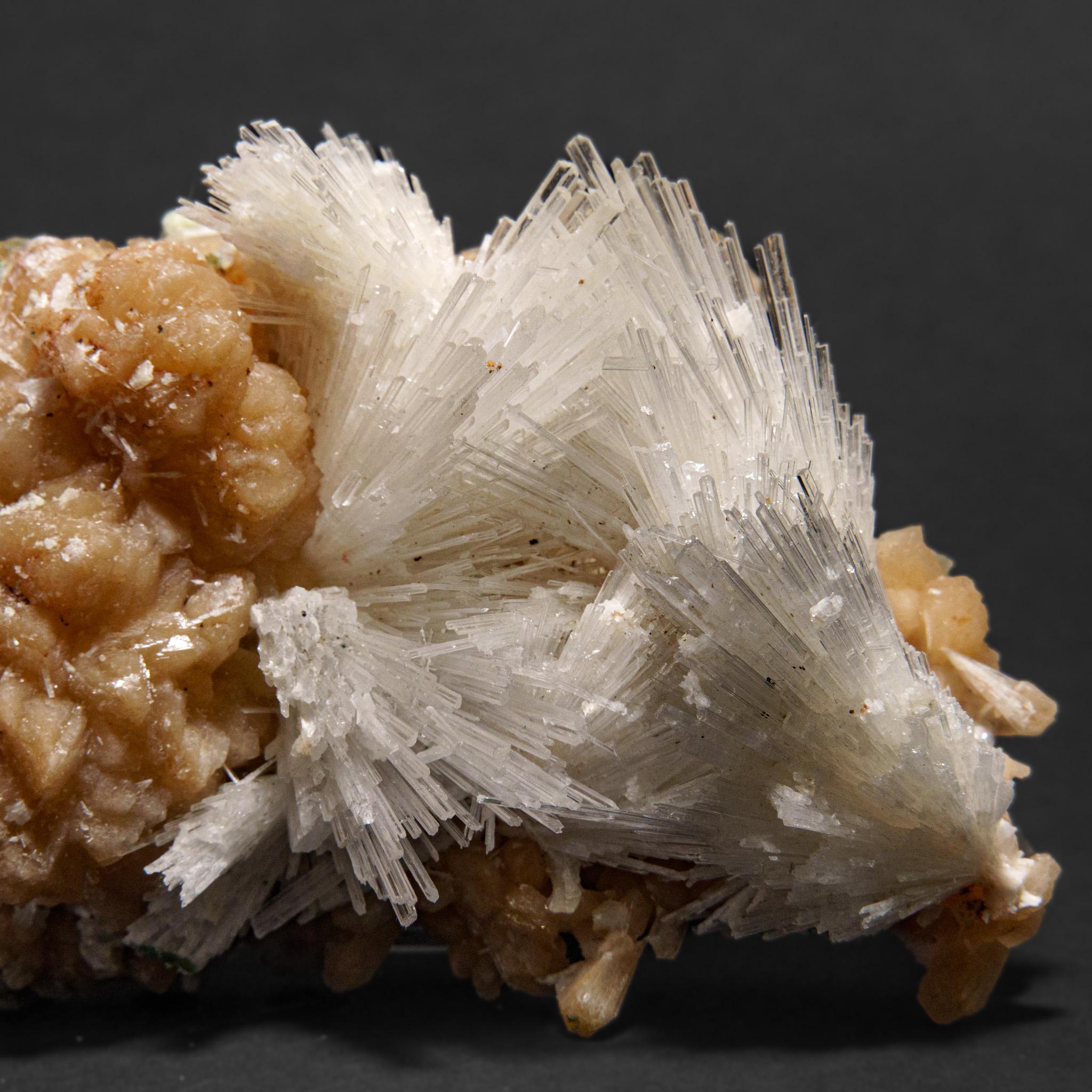 Du district de Nasik, Maharashtra, Inde Grande grappe lustrée d'une gerbe aciculaire de cristaux de scolectite sur stilbite rose. Les cristaux de scolecite ont des faces cristallines vitreuses et sont généralement translucides à transparents au