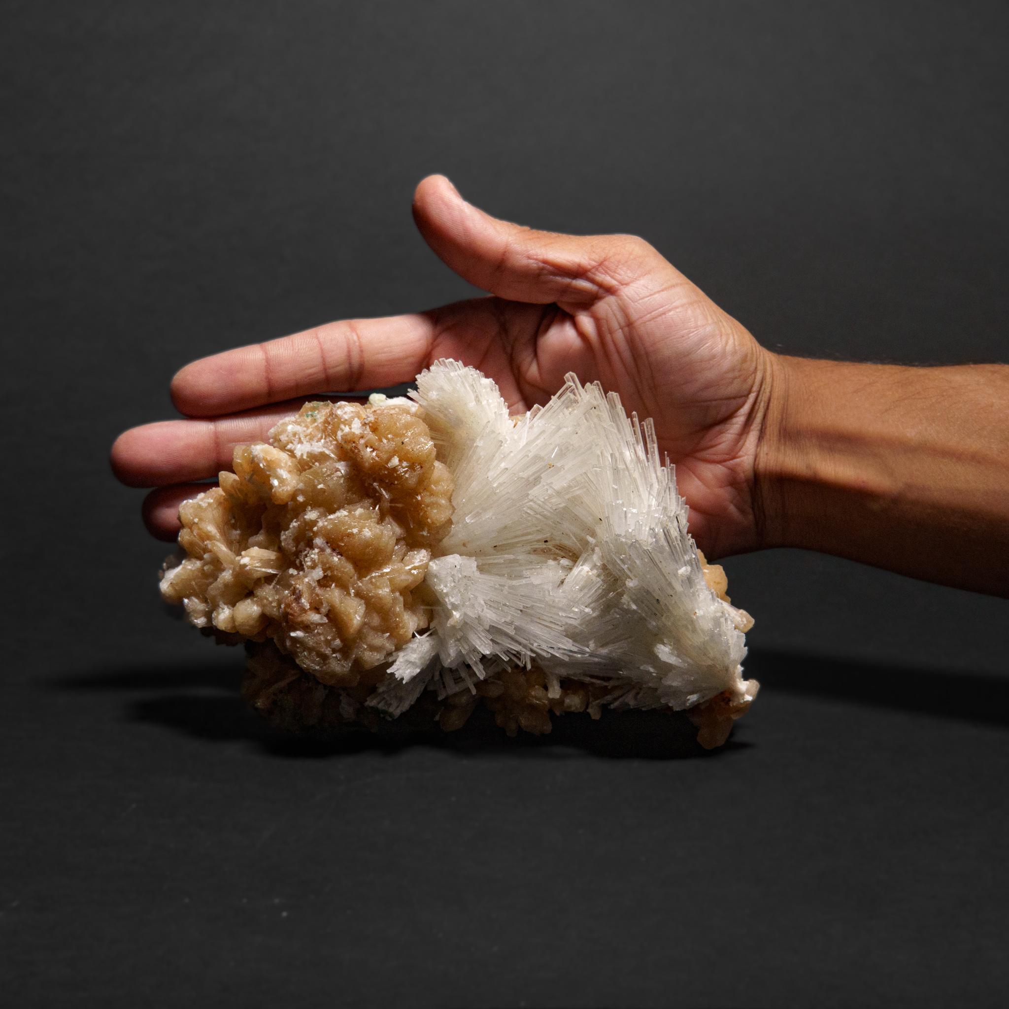Scolecite avec piqûre de cravate du district de Nasik, Maharashtra, Inde (1.35 kg) en vente 1