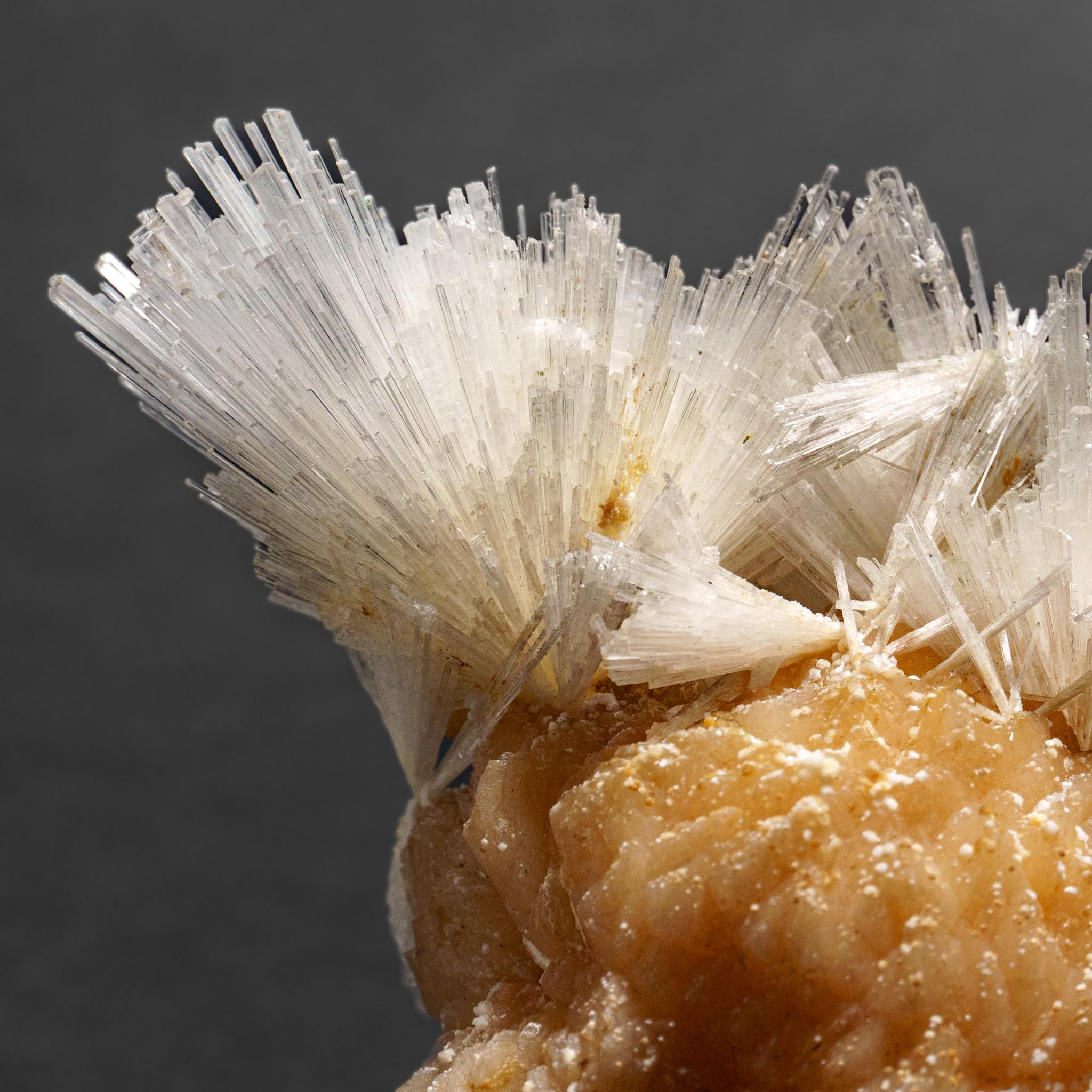 Du district de Nasik, Maharashtra, Inde Grande grappe lustrée d'une gerbe aciculaire de cristaux de scolectite sur stilbite rose. Les cristaux de scolecite ont des faces cristallines vitreuses et sont généralement translucides à transparents au