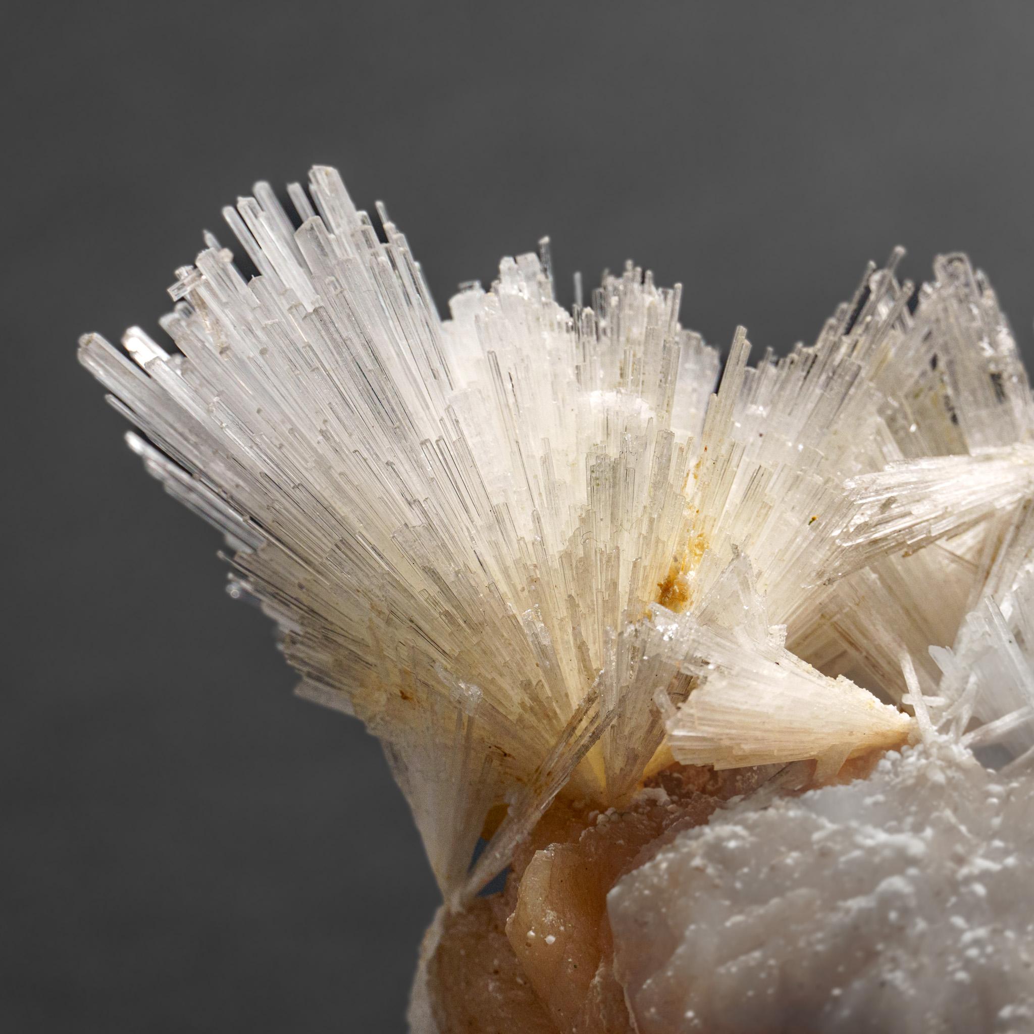 Scolecite avec piqûre de cravate du district de Nasik, Maharashtra, Inde (1.55 kg) en vente 1