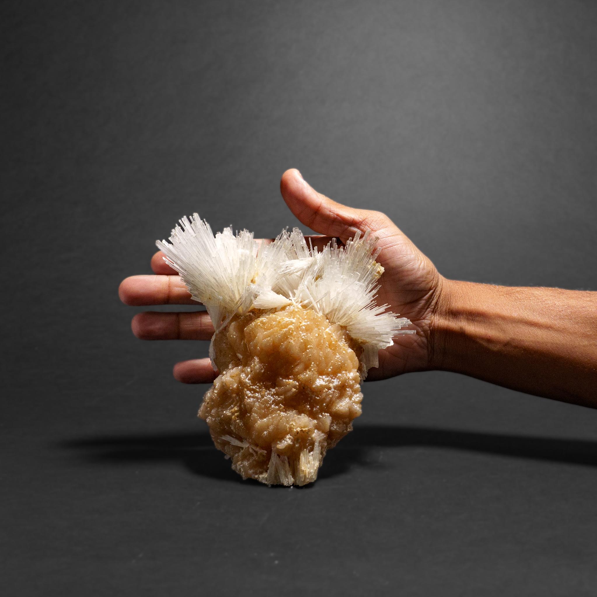 Scolecite avec piqûre de cravate du district de Nasik, Maharashtra, Inde (1.55 kg) en vente 2