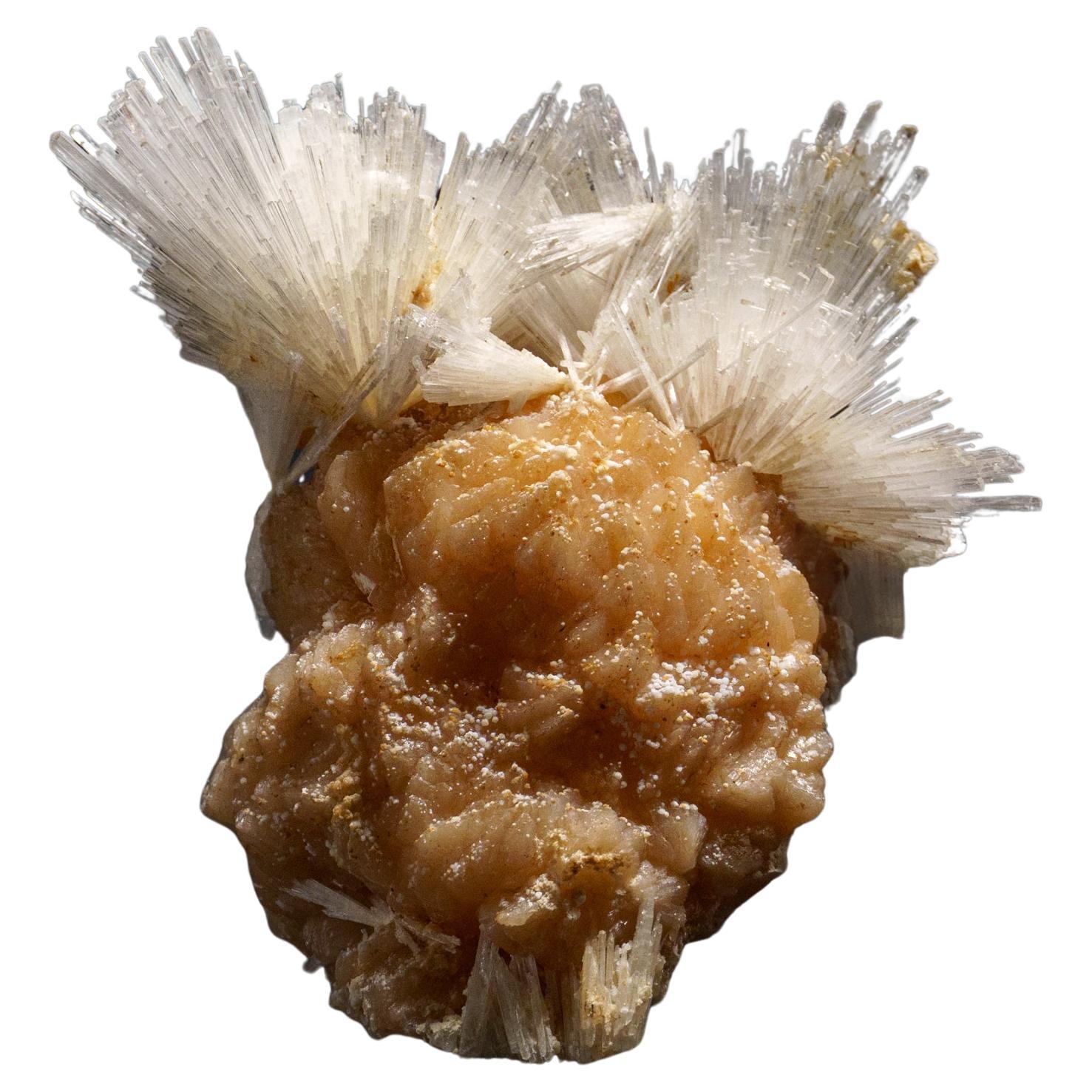 Scolecite avec piqûre de cravate du district de Nasik, Maharashtra, Inde (1.55 kg)