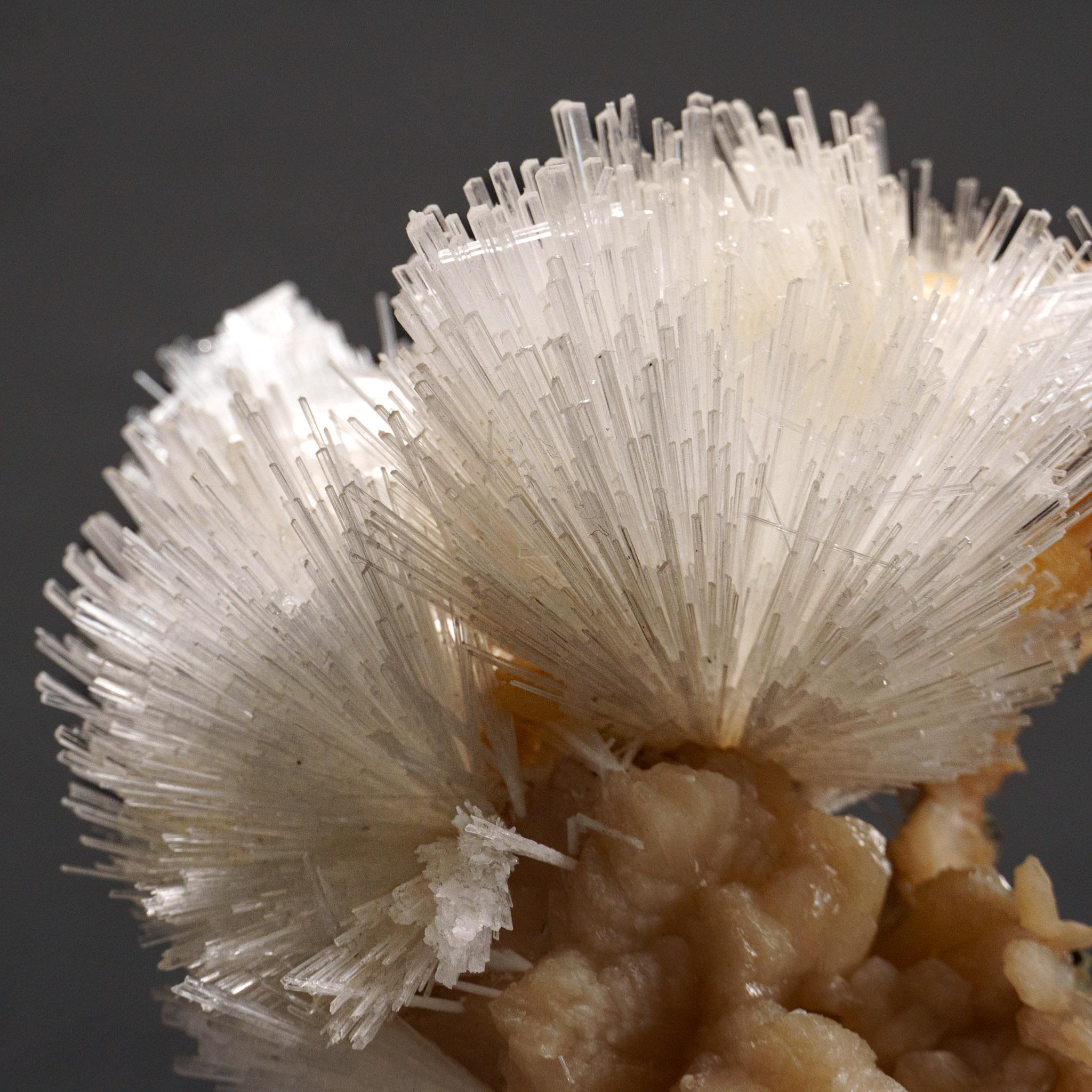 Du district de Nasik, Maharashtra, Inde Grande grappe lustrée d'une gerbe aciculaire de cristaux de scolectite sur stilbite rose. Les cristaux de scolecite ont des faces cristallines vitreuses et sont généralement translucides à transparents au