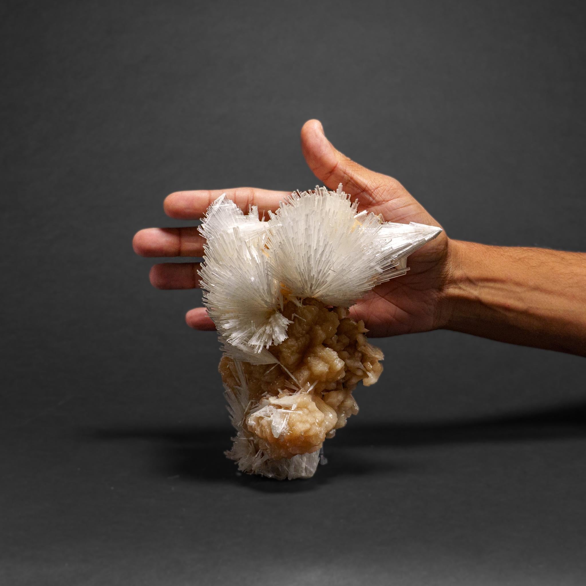 Scolecite avec piqûre de cravate du district de Nasik, Maharashtra, Inde (1.9 kg) Neuf - En vente à New York, NY