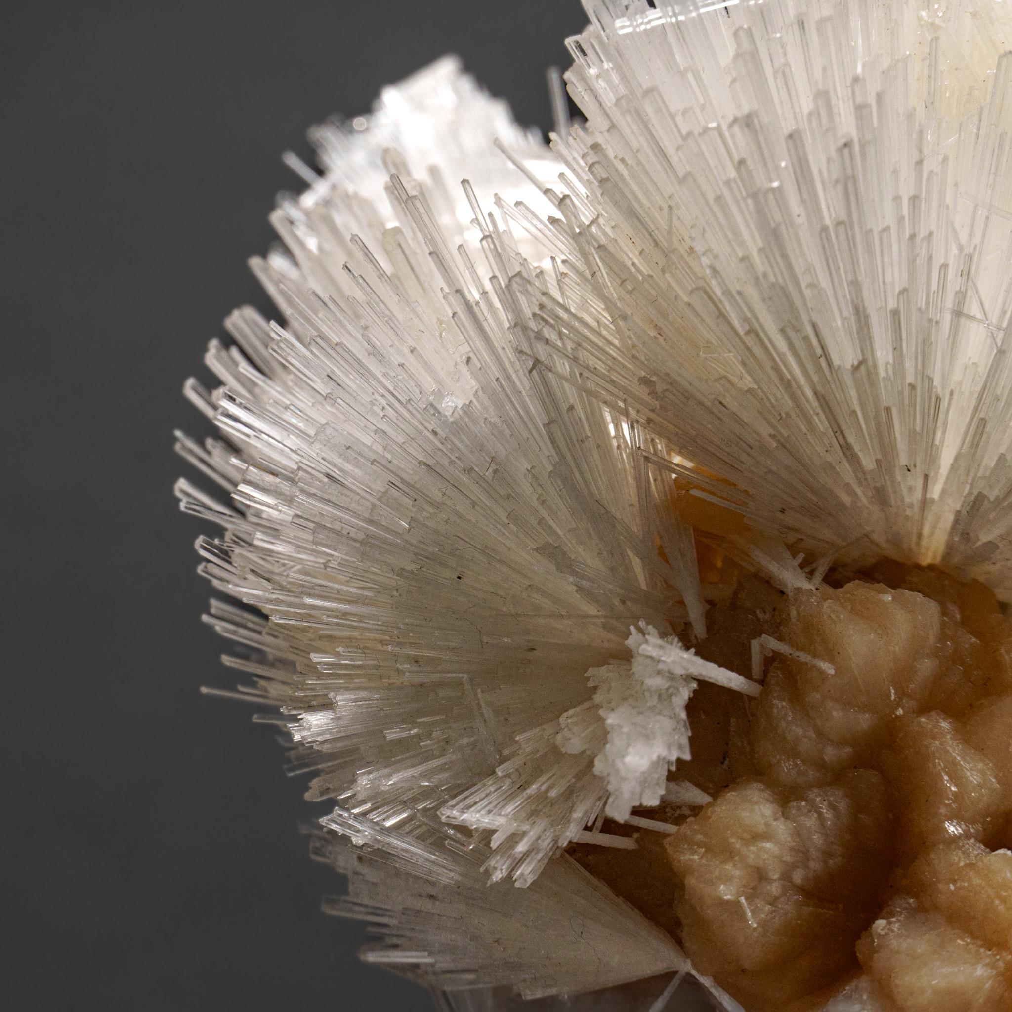 Scolecite avec piqûre de cravate du district de Nasik, Maharashtra, Inde (1.9 kg) en vente 3