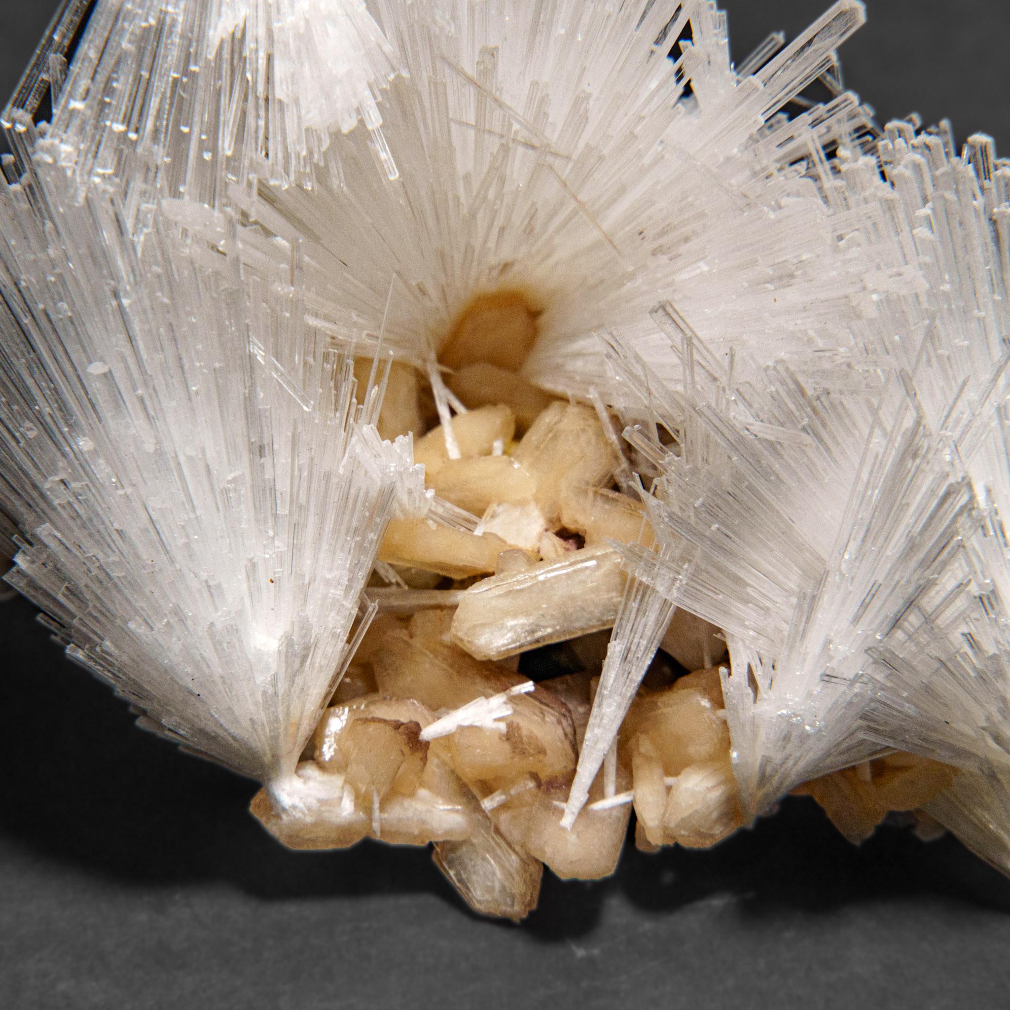 Du district de Nasik, Maharashtra, Inde Grande grappe lustrée d'une gerbe aciculaire de cristaux de scolectite sur stilbite rose. Les cristaux de scolecite ont des faces cristallines vitreuses et sont généralement translucides à transparents au