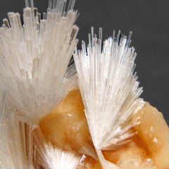 Scolecite avec Stilbite Du District de Nasik, Maharashtra, Inde (413.8 grammes)