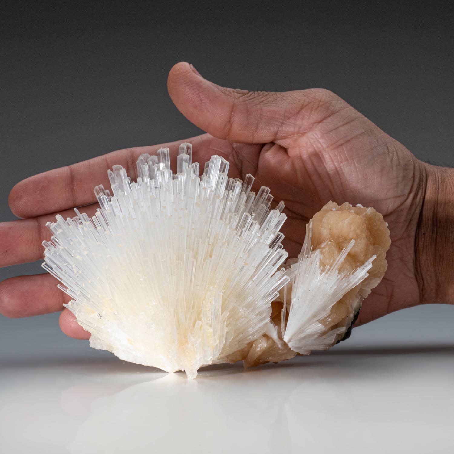 Scolecite with Stilbite From Nasik District, Maharashtra, India (438.4 grams) In New Condition For Sale In New York, NY