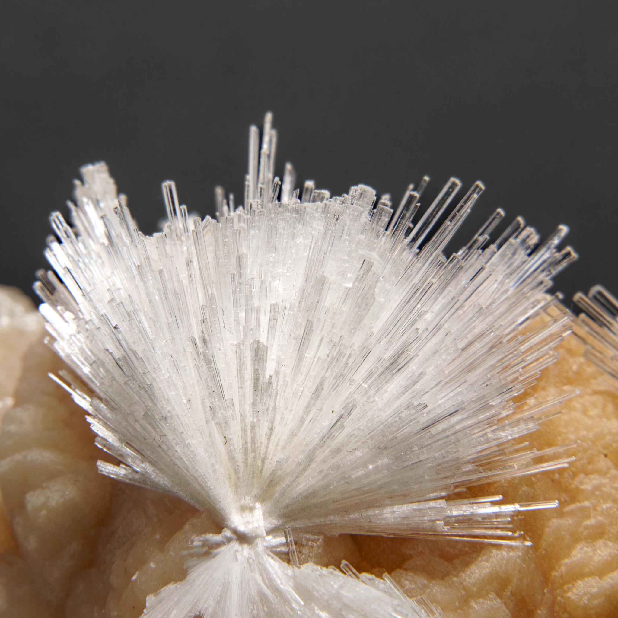 Du district de Nasik, Maharashtra, Inde Grande grappe lustrée d'une gerbe aciculaire de cristaux de scolectite sur stilbite rose. Les cristaux de scolecite ont des faces cristallines vitreuses et sont généralement translucides à transparents au
