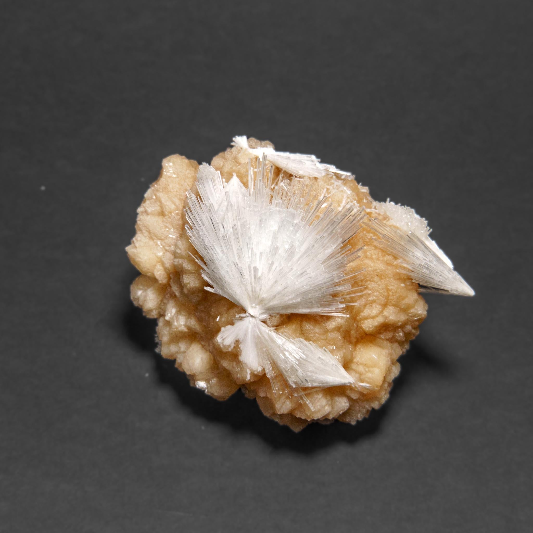 Scolecite avec stilbite du district de Nasik, Maharashtra, Inde (498.3 grammes) Neuf - En vente à New York, NY