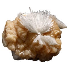 Scolecite avec stilbite du district de Nasik, Maharashtra, Inde (498.3 grammes)