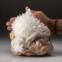 Scolecite with Stilbite From Nasik District, Maharashtra, India