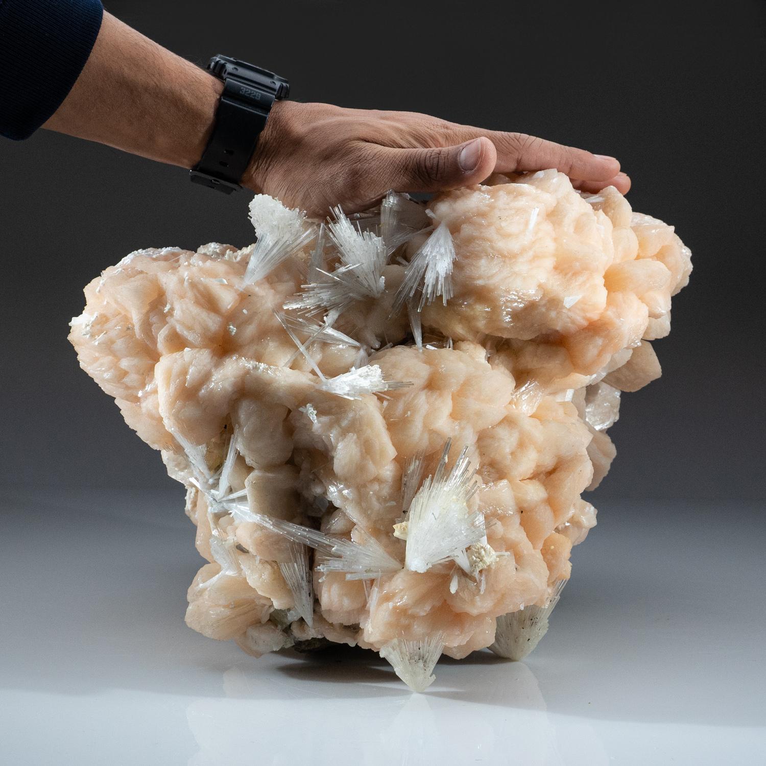 Dal distretto di Nasik, Maharashtra, India

Grande ammasso di spruzzi aciculari intersecanti di cristalli di scolectite con matrice. I cristalli di scolecite hanno facce cristalline e sono per lo più traslucidi con terminazioni piramidali