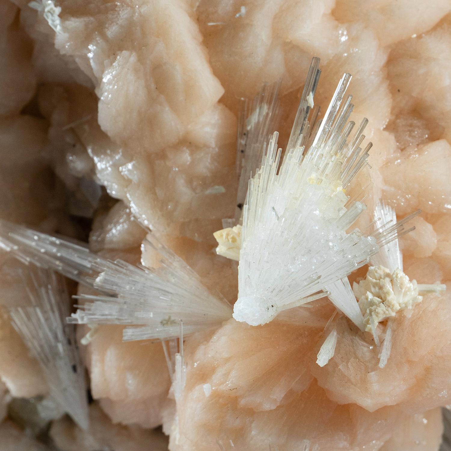 XXI secolo e contemporaneo Scolecite con Stilbite dal distretto di Nasik, Maharashtra, India in vendita