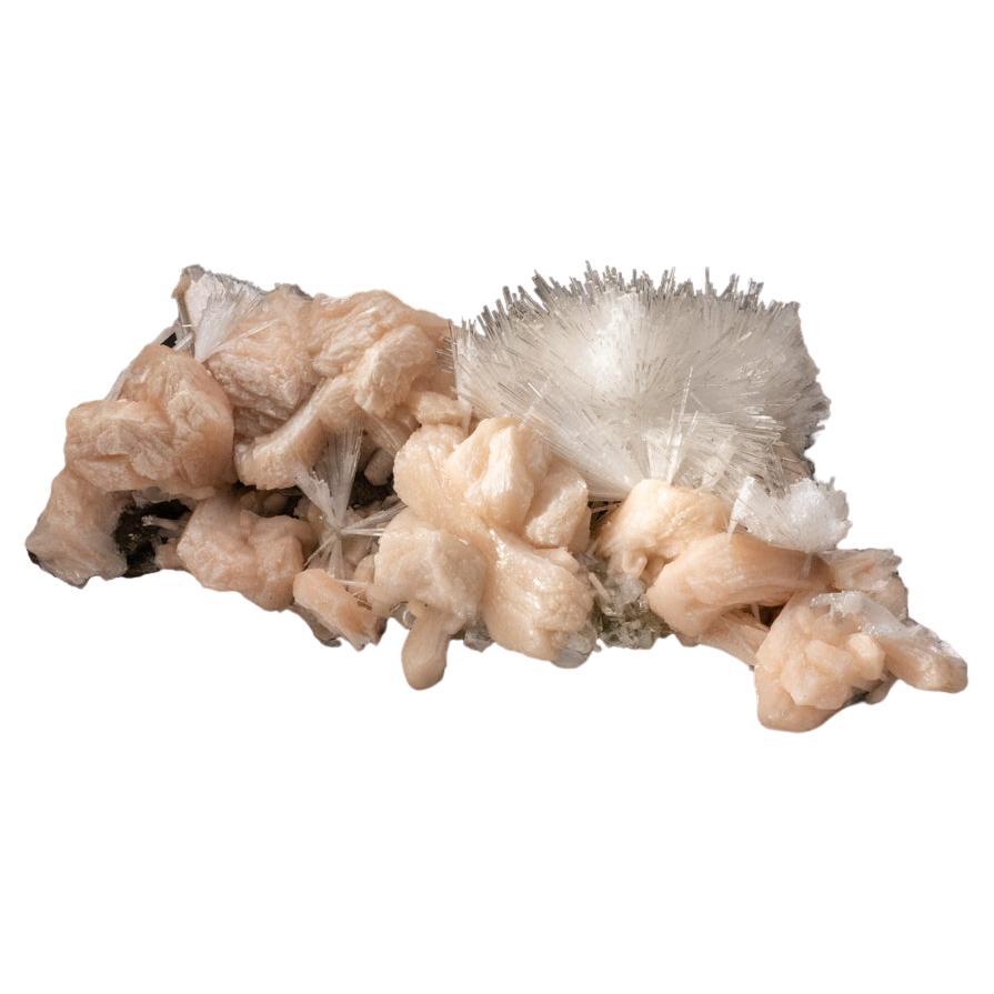 Scolecite Mineral with Stilbite From, India For Sale